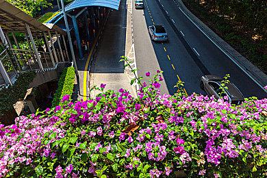 《地下城与勇士 决斗》“战斗法师”预告影片 预计12月上线